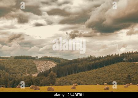 Ein Feld im Herbst mit Strohballen. wolkiger grauer Himmel Stockfoto