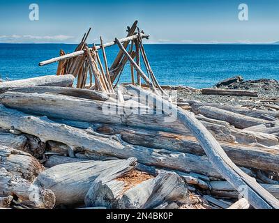 Ein aus altem Treibholz errichteter Schutzraum wurde teilweise am South Beach auf San Juan Island errichtet. Stockfoto