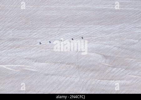 Luftaufnahme einer Gruppe von Alpinisten, die die Hänge des oberen Teils des Géant-Gletschers überqueren. Stockfoto