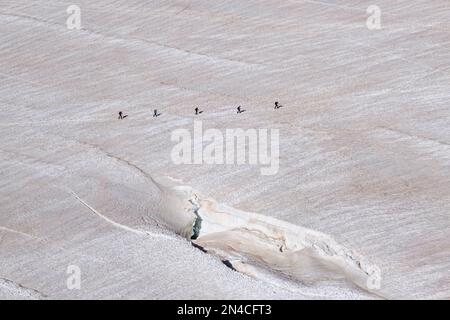 Aus der Vogelperspektive sehen Sie eine Gruppe von Alpinisten, die die Hänge des oberen Teils des Géant-Gletschers überqueren, eine große Spalte vor Ihnen. Stockfoto