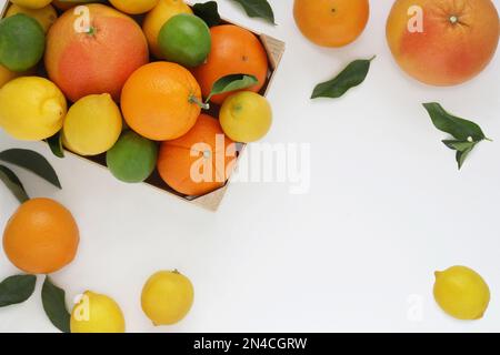 Zitrusfrüchte Rahmen oder Rahmen auf weißem Hintergrund, Mischung aus Orangen, Zitronen, Grapefruits und Limetten mit Blättern im Karton, ganze, verstreute Früchte, Draufsicht Stockfoto