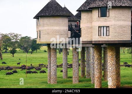 Malerischer Blick auf das Sarova Salt Lick Hotel im Tsavo-Nationalpark, Kenia Stockfoto