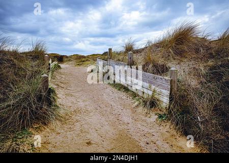 Fußweg durch die Sanddünen mit Holzbrettern, die den beweglichen Sand zurückhalten Stockfoto