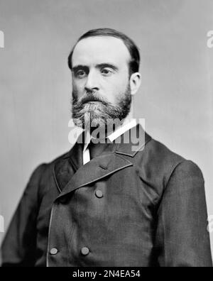 Charles Stewart Parnell. Portrait des irischen nationalistischen Politikers Charles Stewart Parnell (1846-1891) von Mathew Brady, c. 1870-80 Stockfoto