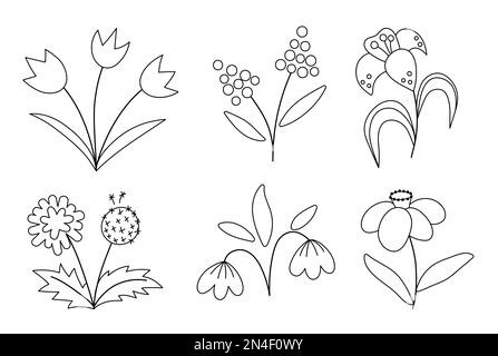 Vector niedliche schwarz-weiße Frühlingsblumen-Ikonen. Die ersten blühenden Pflanzen sind eine Illustration. Clip Art Kollektion mit Blumenmotiv oder Malseite. Tulpen, Stock Vektor