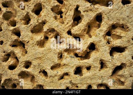 Alte gelbe Wand aus Kalkstein mit natürlichen Löchern, Nahaufnahme Stockfoto