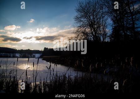 Schilf und See bei Sonnenuntergang an einem kalten Wintertag, Waldviertel/Österreich Stockfoto