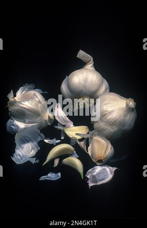 REIHE VON NELKEN KNOBLAUCH ZWIEBELN AUF SCHWARZEM HINTERGRUND Stockfoto