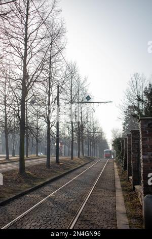 Die Straßenbahn fährt im Herbst durch einen Flur von Bäumen. Prag, Tschechische Republik. Stockfoto