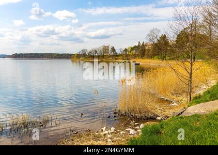 Panoramablick auf den See Jezioro Elckie mit Schilf und bewaldeter Küste entlang der touristischen Promenade in Elk Stadt Masuren in Polen Stockfoto