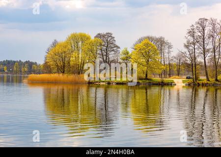 Panoramablick auf den See Jezioro Elckie mit Schilf und bewaldeter Küste entlang der touristischen Promenade in Elk Stadt Masuren in Polen Stockfoto