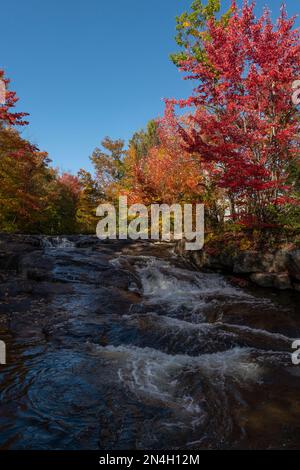 Herbstfarben in den Laurentians, Brownsburg-Chatham, Quebec, Kanada Stockfoto