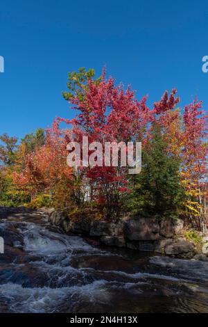 Herbstfarben in den Laurentians, Brownsburg-Chatham, Quebec, Kanada Stockfoto