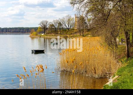 Panoramablick auf den See Jezioro Elckie mit Schilf und bewaldeter Küste entlang der touristischen Promenade in Elk Stadt Masuren in Polen Stockfoto