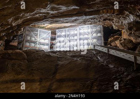 Cheddar-Käse reift in der Goughs Cave in Cheddar in Somerset Stockfoto
