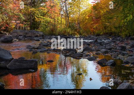 Herbstfarben in den Laurentians, Brownsburg-Chatham, Quebec, Kanada Stockfoto