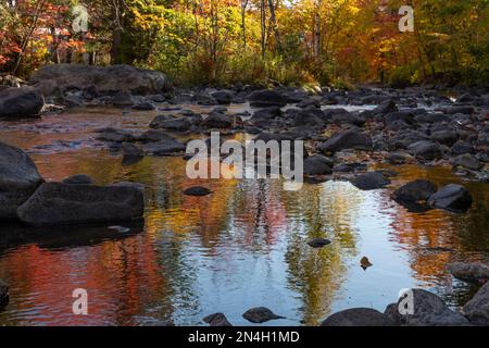 Herbstfarben in den Laurentians, Brownsburg-Chatham, Quebec, Kanada Stockfoto