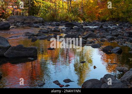 Herbstfarben in den Laurentians, Brownsburg-Chatham, Quebec, Kanada Stockfoto