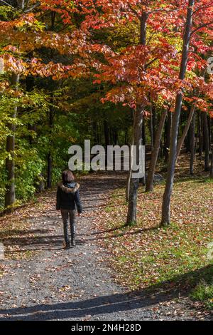 Seniorin genießt die Herbstfarben in Brownsburg-Chatham Quebec Stockfoto