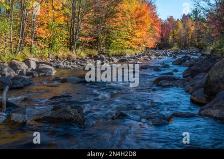 Herbstfarben in den Laurentians, Brownsburg-Chatham, Quebec, Kanada Stockfoto