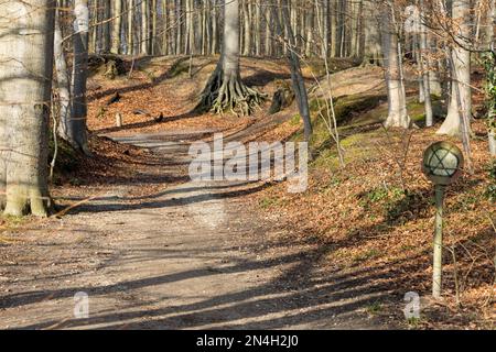 Herbstlandschaft mit einem Fußweg, der in die Szene führt Stockfoto