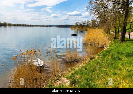 Panoramablick auf den See Jezioro Elckie mit Schilf und bewaldeter Küste entlang der touristischen Promenade in Elk Stadt Masuren in Polen Stockfoto