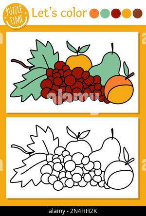 Gartenmalerei für Kinder mit Obst. Vektorzeichnung Herbstdarstellung mit Ernte. Farbbuch für Kinder mit farbigem Beispiel. Zeichnungsfähigkeit Stock Vektor