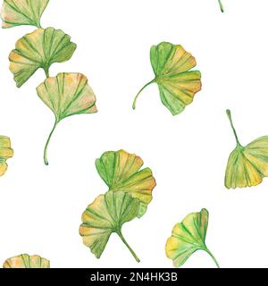 Ginkgo Biloba grüne und gelbe Blätter mit nahtlosem Muster, bedrucktes Blattwerk in der Botanik. Aquarelle. Botanical Elements for Logo, Label and Packaging de Stockfoto