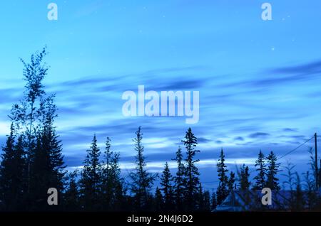 Dunkelblauer Himmel mit Wolken bei Nacht über den Fichtenwäldern der nördlichen Taiga von Yakutia. Stockfoto