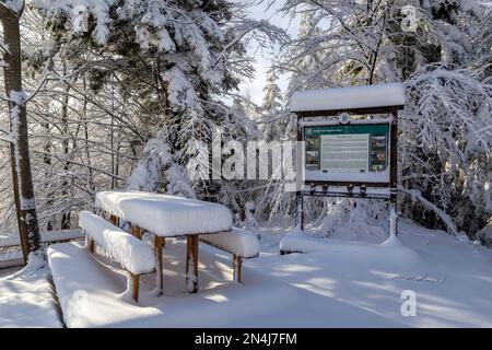 11.01.2023, Hala Slowianka, Polen. Rastplatz mit Tisch und Bänken und Touristeninformationstafel bedeckt mit frischem Schnee im Winter auf der Hala Slowianka Stockfoto