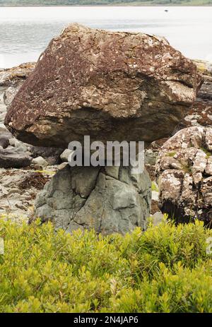 Pilzfelsen, Croggan, Loch Spelve, Mull, Schottland Stockfoto