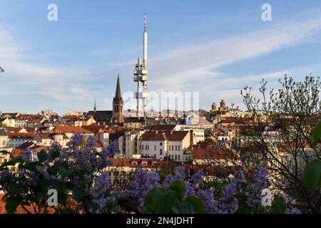 Wunderschöne Aussicht vom Haus auf dem Zizkov-Turm in Prag in Zizkov. Wunderschönes Leben im Zentrum von Prag. Stockfoto