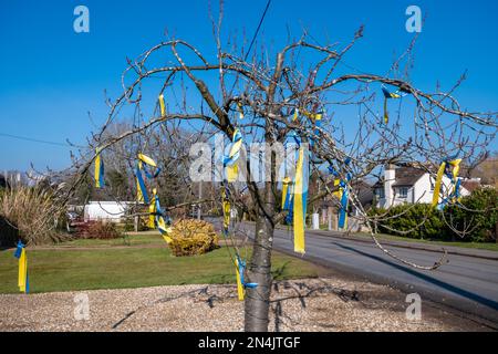 08. Februar 2023 Fast ein Jahr nach der massiven Invasion der Ukraine durch Russland wurden in Surrey, England, Großbritannien, blaue und gelbe Bänder an einen Baum gehängt, die ukrainischen Flaggenfarben zeigen die anhaltende britische Unterstützung für die Ukrainer. Stockfoto