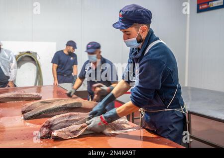 Schneiden und Vorbereiten von Fisch für die Konservenherstellung, Fischkonservenfabrik (USISA), Isla Cristina, Spanien Stockfoto