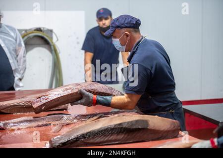 Schneiden und Vorbereiten von Fisch für die Konservenherstellung, Fischkonservenfabrik (USISA), Isla Cristina, Spanien Stockfoto