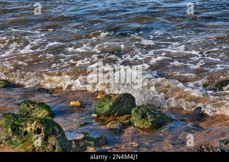 South Shields, eine Küstenstadt in South Tyneside, Tyne und Wear, England. Stockfoto