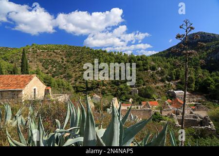 Malo Grablje, Little Grablje, Geisterdorf, verlassenes Dorf auf der Insel Hvar, Kroatien Stockfoto