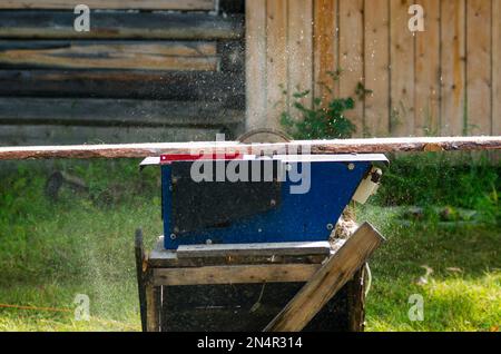 Ein sich schnell drehendes Kreissägeblatt auf dem Schreibtisch schneidet ein Pinienbrett mit Spänen und Sägemehl, das vor dem Hintergrund eines Woo in alle Richtungen fliegt Stockfoto