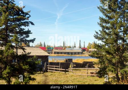 Heller Tag im Dorf ulus Suntar in Yakutia auf dem überwucherten Teich mit Fichten mit Holzbaracken und Toilette. Stockfoto