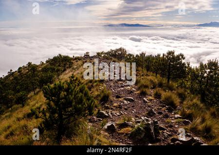 Tlalpan, CDMX.- Februar 08- Cumbres del Ajusco National Park ist einer der Nationalparks in Mexiko-Stadt. El Ajusco ist ein großer geschützter Naturraum mit einer Höhe von 3.930 Metern über dem Meeresspiegel. Der Ort besteht aus Kiefern- und Eichenwäldern, hohen Bergweiden und einer reichen Fauna und ist ideal zum Wandern, Trekking und Bergsteigen. Am 08. Februar verwenden Tlalpan, CDMX, Mexiko (Kreditbild: © Autor/Eyepix via ZUMA Press Wire) NUR REDAKTIONELLE Inhalte! Nicht für den kommerziellen GEBRAUCH! Stockfoto