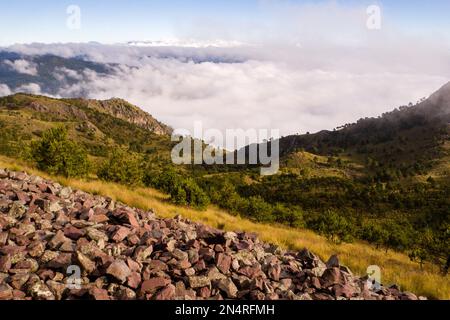 Tlalpan, CDMX.- Februar 08- Cumbres del Ajusco National Park ist einer der Nationalparks in Mexiko-Stadt. El Ajusco ist ein großer geschützter Naturraum mit einer Höhe von 3.930 Metern über dem Meeresspiegel. Der Ort besteht aus Kiefern- und Eichenwäldern, hohen Bergweiden und einer reichen Fauna und ist ideal zum Wandern, Trekking und Bergsteigen. Am 08. Februar verwenden Tlalpan, CDMX, Mexiko (Kreditbild: © Autor/Eyepix via ZUMA Press Wire) NUR REDAKTIONELLE Inhalte! Nicht für den kommerziellen GEBRAUCH! Stockfoto