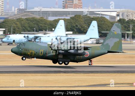 Präfektur Aichi, Japan - 08. März 2016: Japan Air Self-Defense Force Lockheed Martin KC-130H Hercules Tankflugzeug. Stockfoto