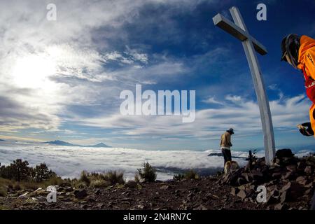 Tlalpan, CDMX.- Februar 08- Cumbres del Ajusco National Park ist einer der Nationalparks in Mexiko-Stadt. El Ajusco ist ein großer geschützter Naturraum mit einer Höhe von 3.930 Metern über dem Meeresspiegel. Der Ort besteht aus Kiefern- und Eichenwäldern, hohen Bergweiden und einer reichen Fauna und ist ideal zum Wandern, Trekking und Bergsteigen. Am 08. Februar verwenden Tlalpan, CDMX, Mexiko (Kreditbild: © Autor/Eyepix via ZUMA Press Wire) NUR REDAKTIONELLE Inhalte! Nicht für den kommerziellen GEBRAUCH! Stockfoto