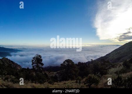 Tlalpan, CDMX.- Februar 08- Cumbres del Ajusco National Park ist einer der Nationalparks in Mexiko-Stadt. El Ajusco ist ein großer geschützter Naturraum mit einer Höhe von 3.930 Metern über dem Meeresspiegel. Der Ort besteht aus Kiefern- und Eichenwäldern, hohen Bergweiden und einer reichen Fauna und ist ideal zum Wandern, Trekking und Bergsteigen. Am 08. Februar verwenden Tlalpan, CDMX, Mexiko (Kreditbild: © Autor/Eyepix via ZUMA Press Wire) NUR REDAKTIONELLE Inhalte! Nicht für den kommerziellen GEBRAUCH! Stockfoto