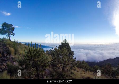 Tlalpan, CDMX.- Februar 08- Cumbres del Ajusco National Park ist einer der Nationalparks in Mexiko-Stadt. El Ajusco ist ein großer geschützter Naturraum mit einer Höhe von 3.930 Metern über dem Meeresspiegel. Der Ort besteht aus Kiefern- und Eichenwäldern, hohen Bergweiden und einer reichen Fauna und ist ideal zum Wandern, Trekking und Bergsteigen. Am 08. Februar verwenden Tlalpan, CDMX, Mexiko (Kreditbild: © Autor/Eyepix via ZUMA Press Wire) NUR REDAKTIONELLE Inhalte! Nicht für den kommerziellen GEBRAUCH! Stockfoto