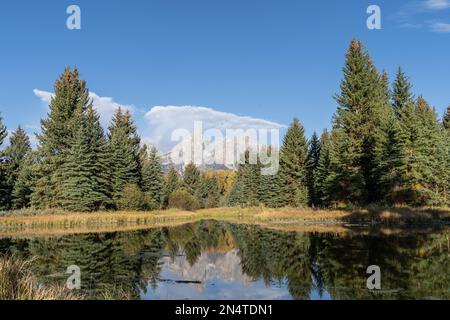 Die Grand Teton Mountain Range mit Herbstfarben spiegelt sich im Wasser des Snake River in Schwabacher Landing, Grand Teton National Park, wider Stockfoto