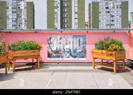 16. Januar 2022, Buenos Aires, Argentinien: Städtischer Gemüsegarten auf dem Dach des Benito Quinquela Martin Museums. Sust-Konzepte Stockfoto