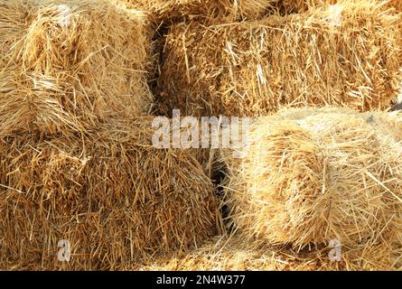 Viele Heuballen im Freien an sonnigen Tagen, Schließung Stockfoto