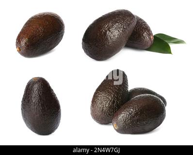 Satz reifer Avocados auf weißem Hintergrund Stockfoto