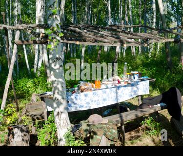 Esstisch mit Tischdecken und Essen im wilden nördlichen Wald in Yakutia ist unter dem Baldachin eines hellen Tages inmitten der Birken mit Bänken Stockfoto